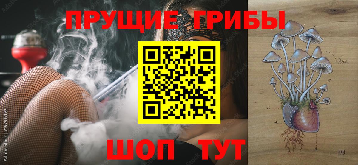 Изобильный  Псилоцибиновые грибы GOLDEN TEACHER  Вход с VPN  наркошоп  Галлюциногенные грибы мицелий 