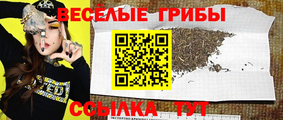 Галлюциногенные грибы Cubensis Изобильный